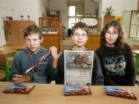 Dru�stvo GLOBEGAMES