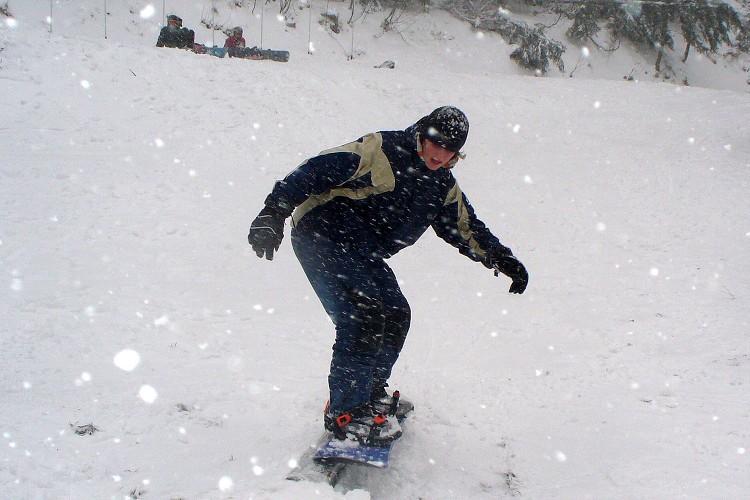 LVVZ 2007