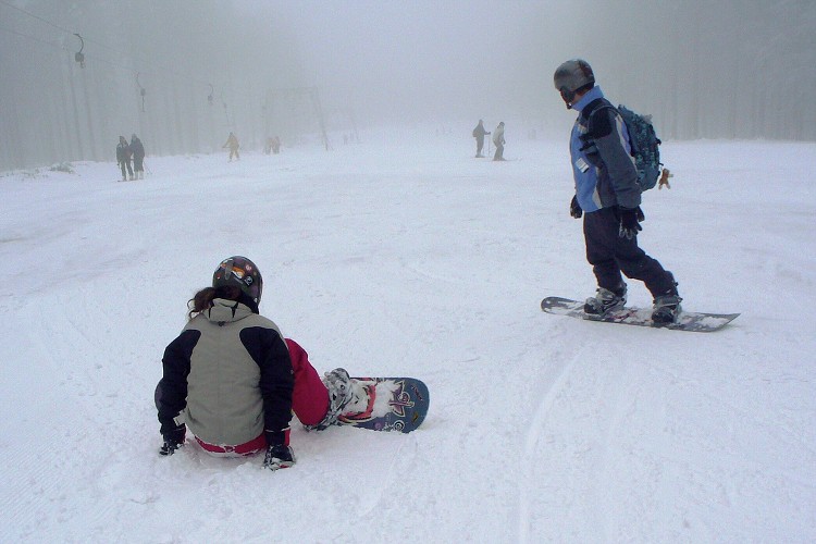 LVVZ 2007