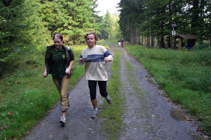Orientan zvod 2006