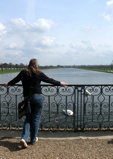 Hana Fukov: Pohled na labut 