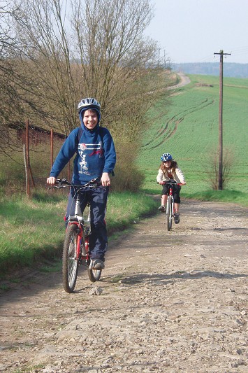 Lesn� ekosyst�my 