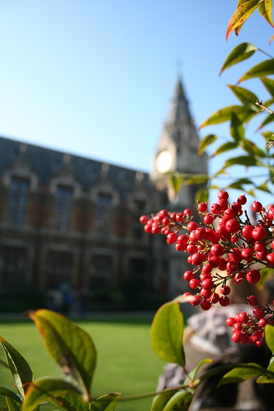 Den prvn, Cambridge - historick centrum
