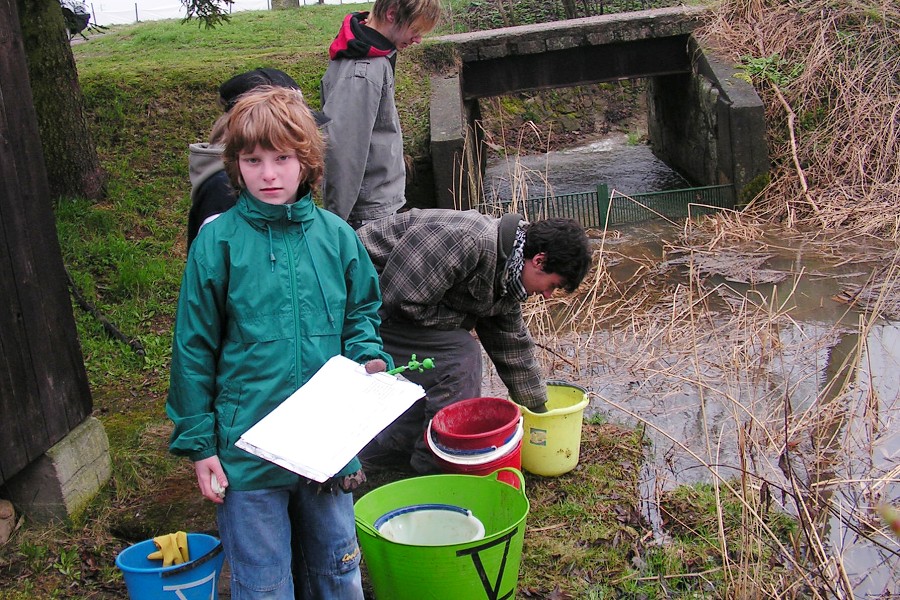 M�m v�e zaps�no