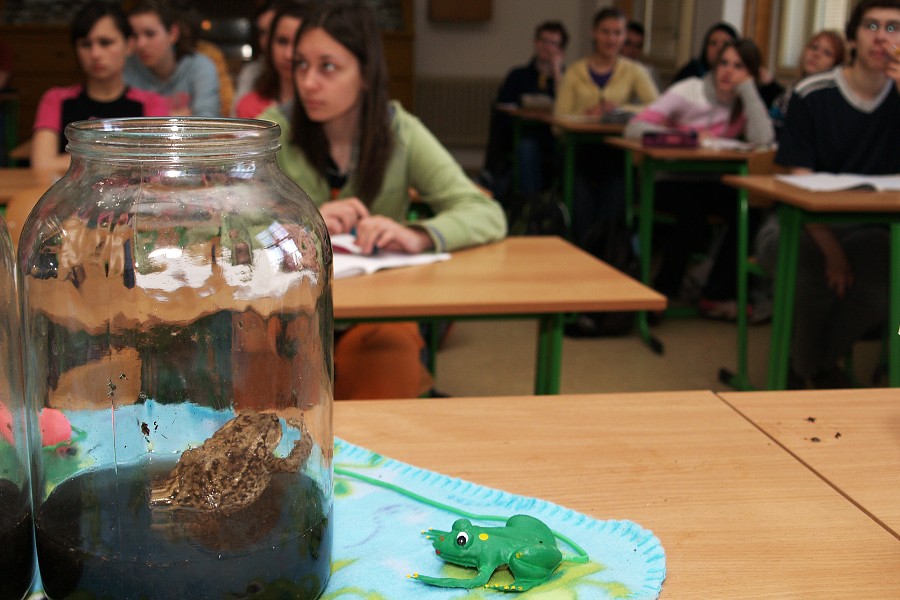 Ropucha obecn� a skokan �elezn�