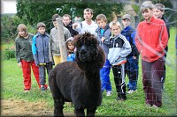 Na farm 