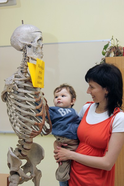 Prezentace v u�ebn�ch